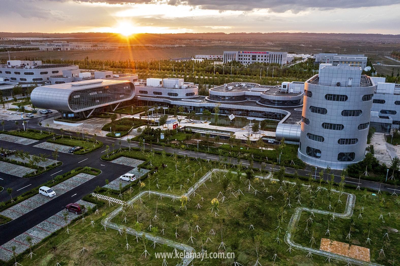 广东省湛江市企业，繁荣发展的动力源泉